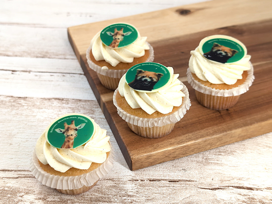 Blijdorp Cupcake Small